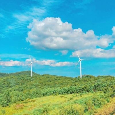彩虹联萌手游vivo版下载